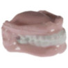 FALSE TEETH