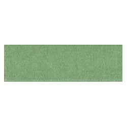 CARPET: SEA MIST 12 X 14
