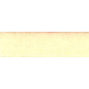 CARPET: PALE YELLOW 12 X 14