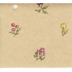 3 pack Prepasted Wallpaper: Fruit