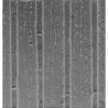 BOARD & BATTEN 1/2IN SCALE