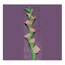 GLADS, LT PINK, PER STEM