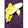 PEELED BANANA