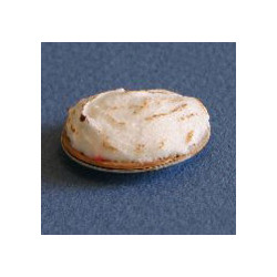 PIE MERINGUE