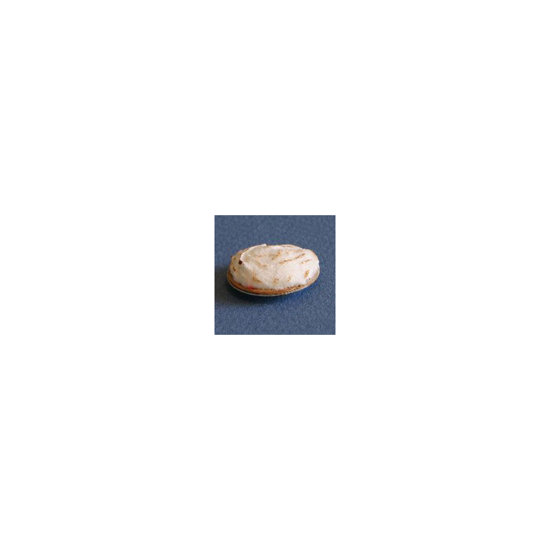 PIE MERINGUE