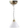 Led Mod Hanging Lamp/Cone Shad