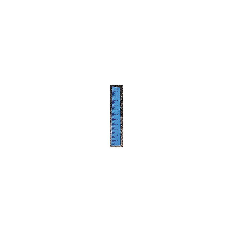 Ruler-Blue Set of 6