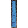 Ruler-Blue Set of 6