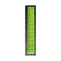 Ruler-Green Set of 6