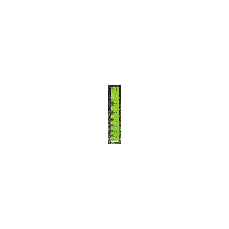 Ruler-Green Set of 6