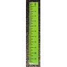 Ruler-Green Set of 6