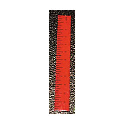 Ruler-Red Set of 6