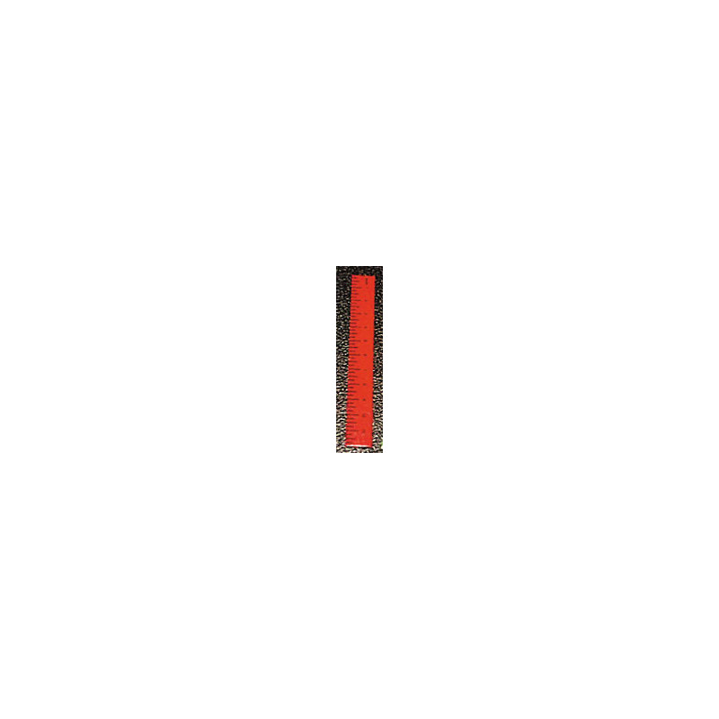 Ruler-Red Set of 6