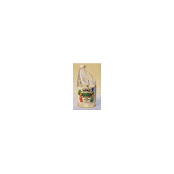 Heinz Distilled White Vinegar-Gal