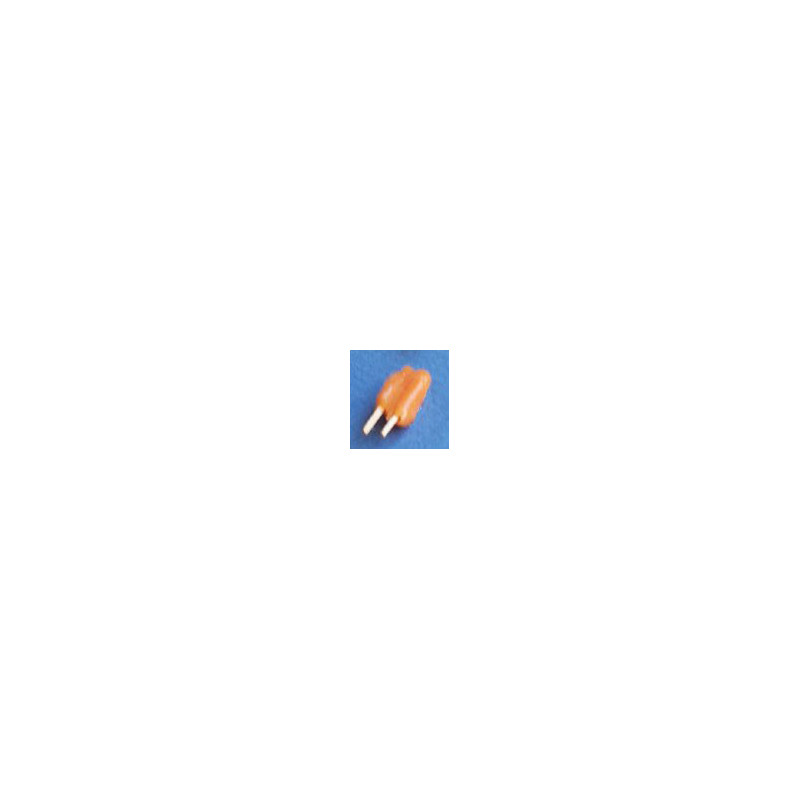 Popsicle Orange
