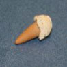 Ice Cream Cone Vanilla