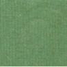 Seafoam Carpeting 12 x 14