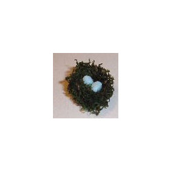 Bird Nest With Eggs