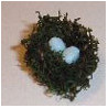 Bird Nest With Eggs