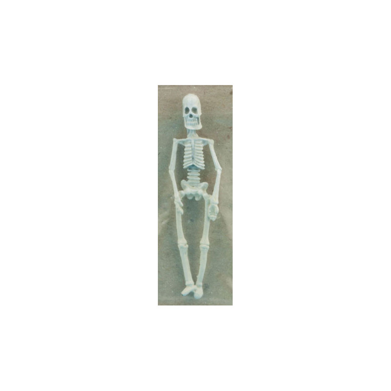 Small Skeleton