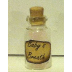 Baby's Breath