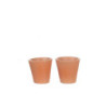 Resin Small Clay Pot /2Pc