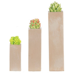 Resin Tall Square Succulents Set/3Pc