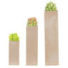 Resin Tall Square Succulents Set/3Pc