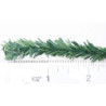 10 Ft Mini Pine Roping Green