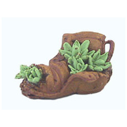 Old Shoe W/Plant