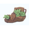 Old Shoe W/Plant