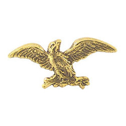 Brass Eagle Plaque