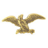 Brass Eagle Plaque