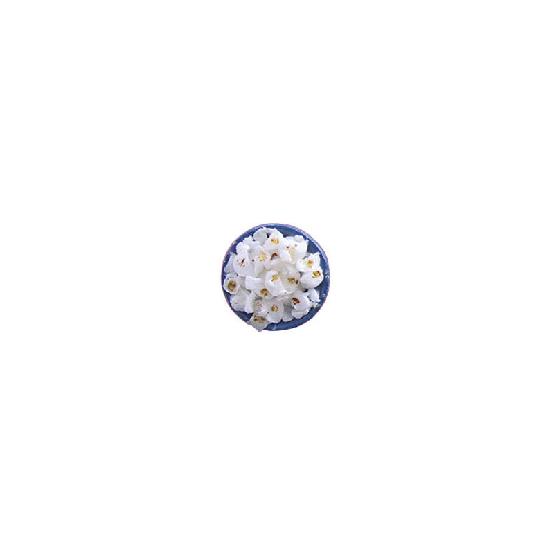 Popcorn In Bowl