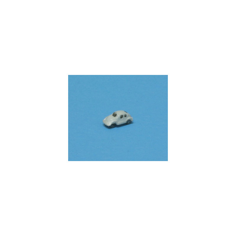 Car, Tiny