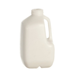 Gallon Jug/Milk/White/12