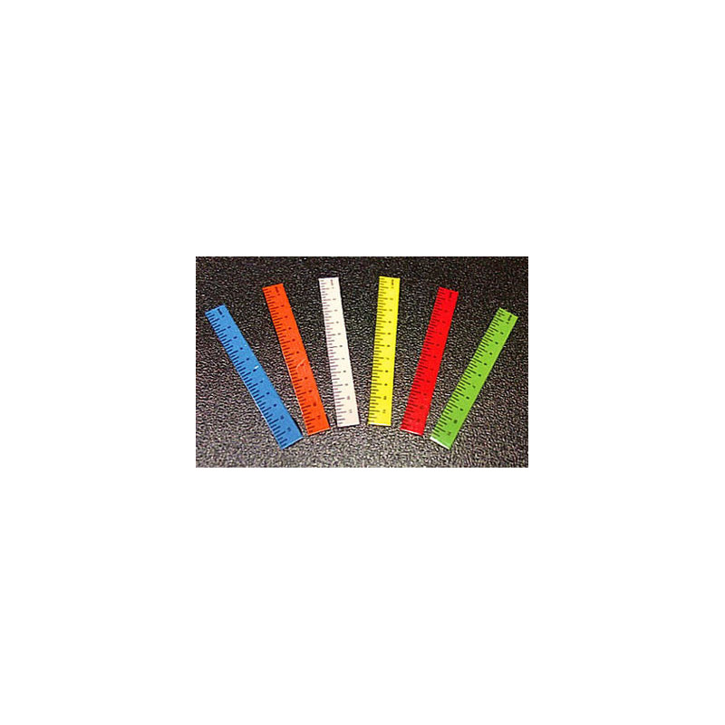 Rulers-Set of Assorted 6