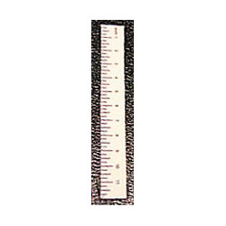 Ruler-White, Set of 6