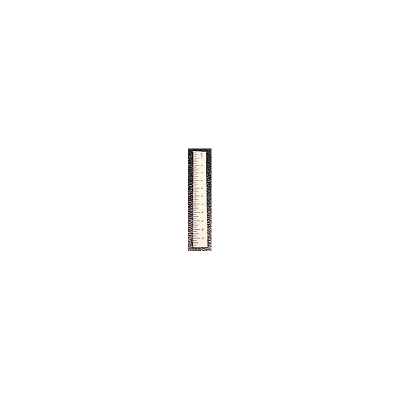 Ruler-White, Set of 6