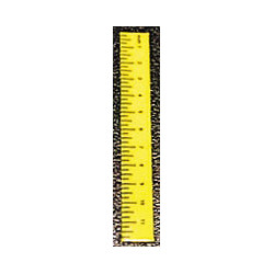 Ruler-Yellow, Set of 6