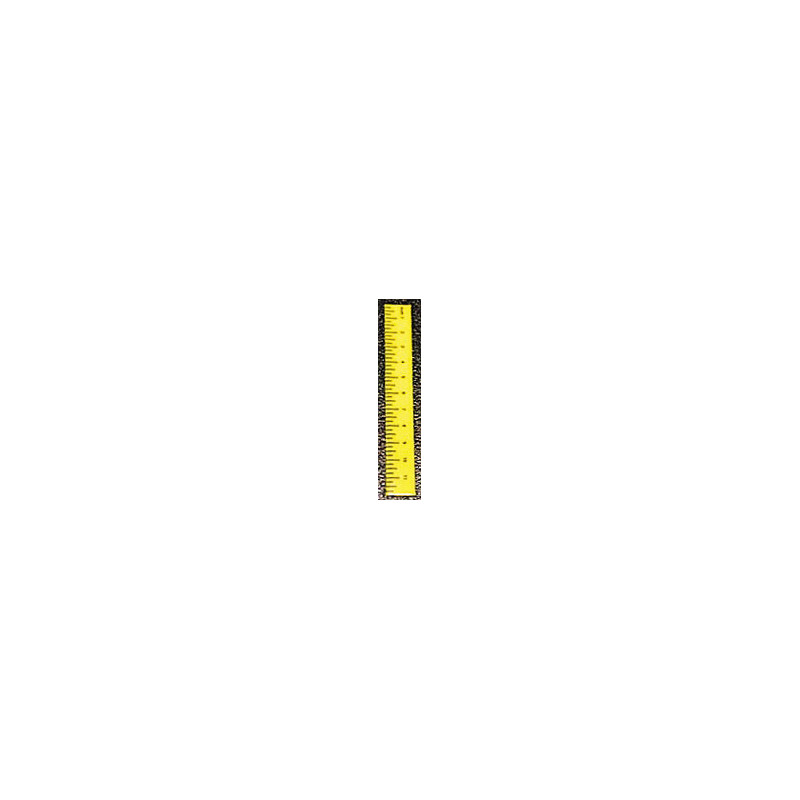 Ruler-Yellow, Set of 6