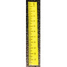 Ruler-Yellow, Set of 6
