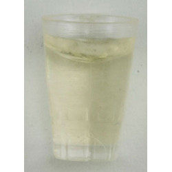 Water Glass