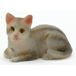 Tabby Cat Sitting