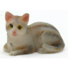 Tabby Cat Sitting