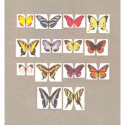Butterfly Kit