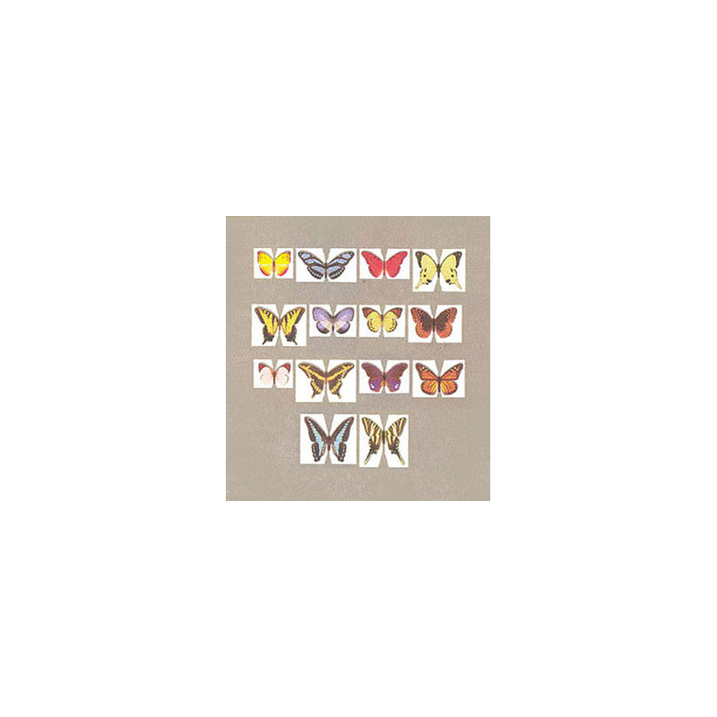 Butterfly Kit