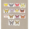 Butterfly Kit