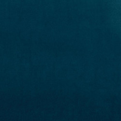 Wedgewood Blue Carpeting, 12 X 14
