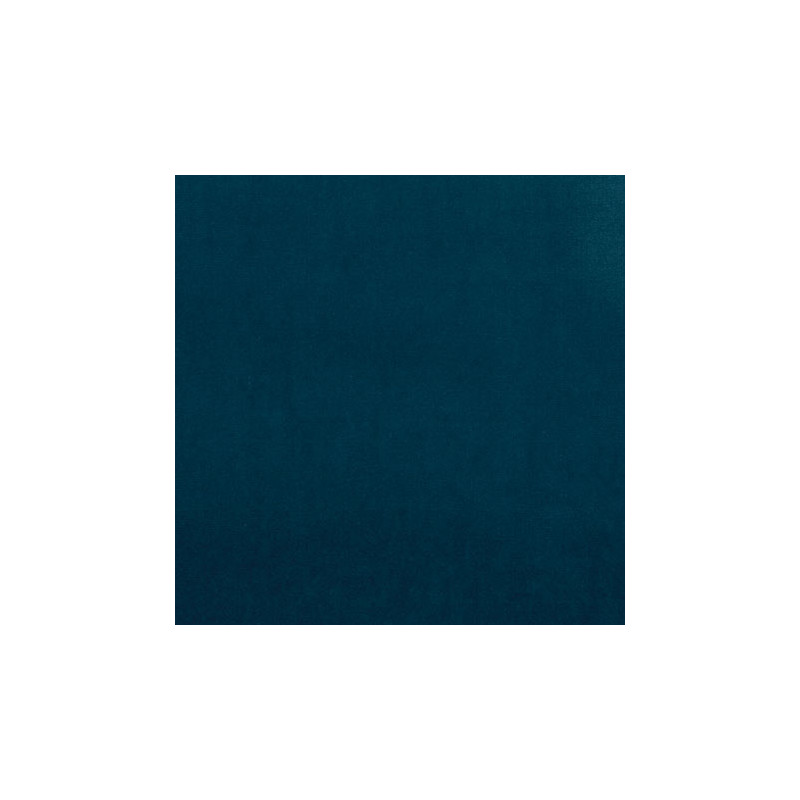 Wedgewood Blue Carpeting, 12 X 14